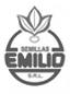 emilio