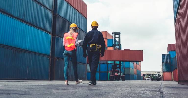 adios-al-sedi-se-deroga-el-sistema-estadistico-de-importaciones